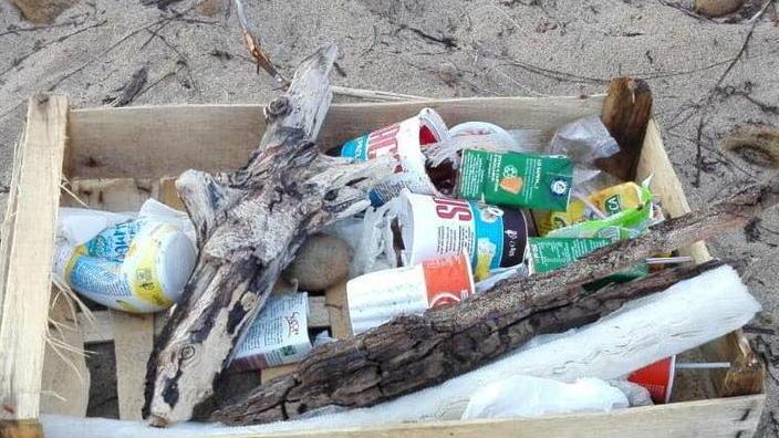 Pattugliamenti per le tartarughe raccogliendo la spazzatura