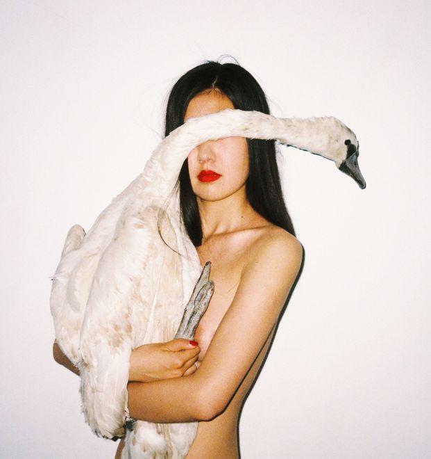 I novanta nudi di Ren Hang al Museo Pecci 