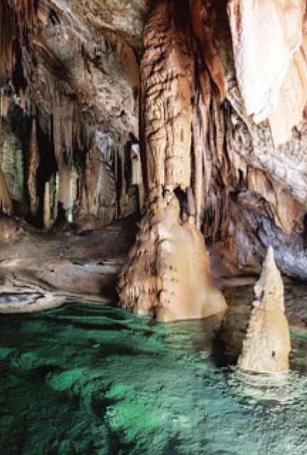 Grotte di Nettuno a 10 euro per i residenti
