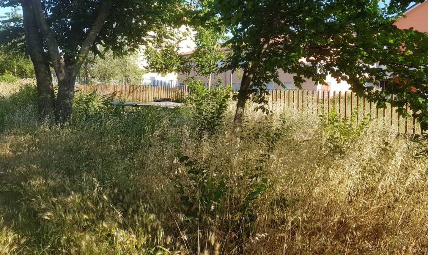 L’orto urbano invaso dalle erbacce