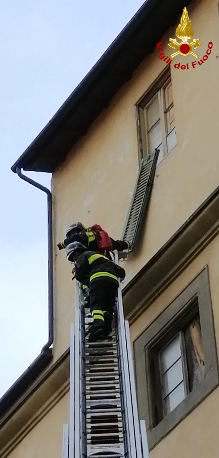 Un intervento dei vigili del fuoco (foto d'archivio)