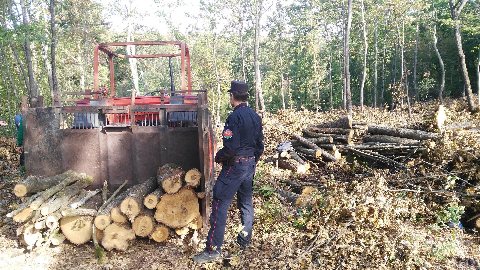 Il sopralluogo dei carabinieri forestali in un cantiere a Montaione
