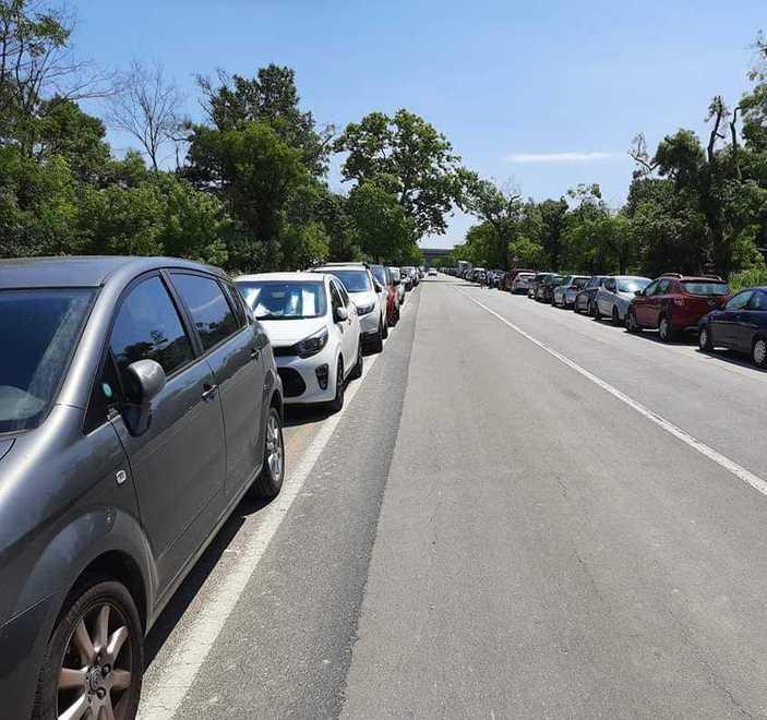 «Ciclabile in via delle Cascine contro i parcheggi selvaggi» 