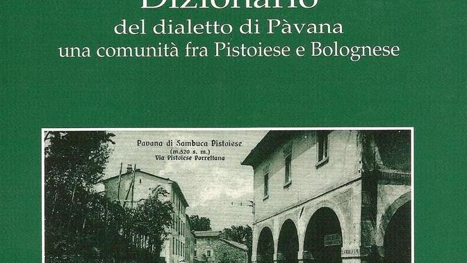 Vocabolario pavanese