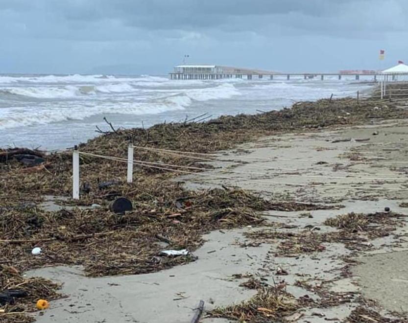 Rami e detriti deturpano la spiaggia 