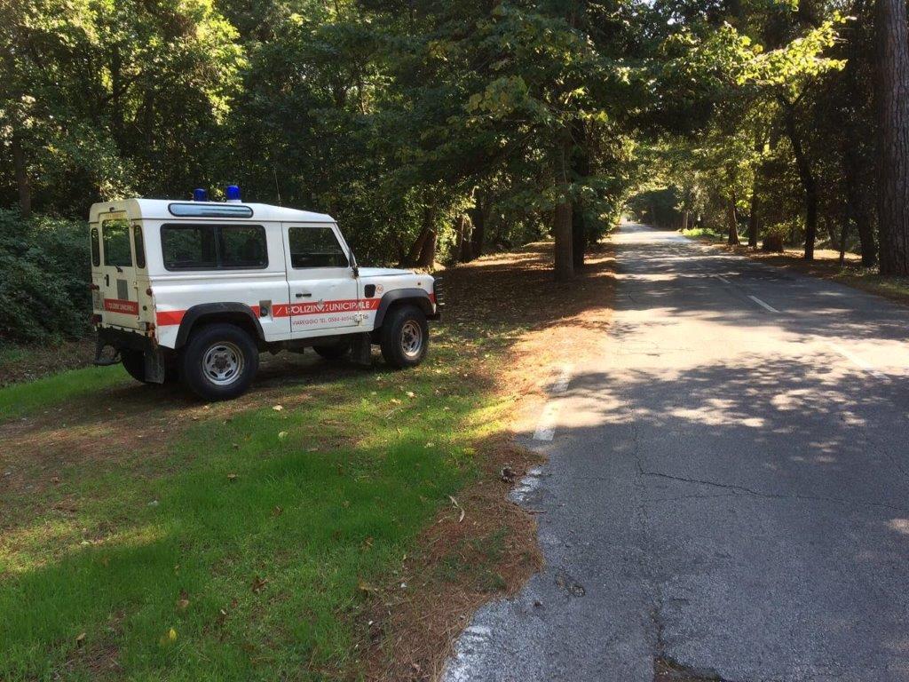 Un mezzo della polizia municipale nel viale dei Tigli
