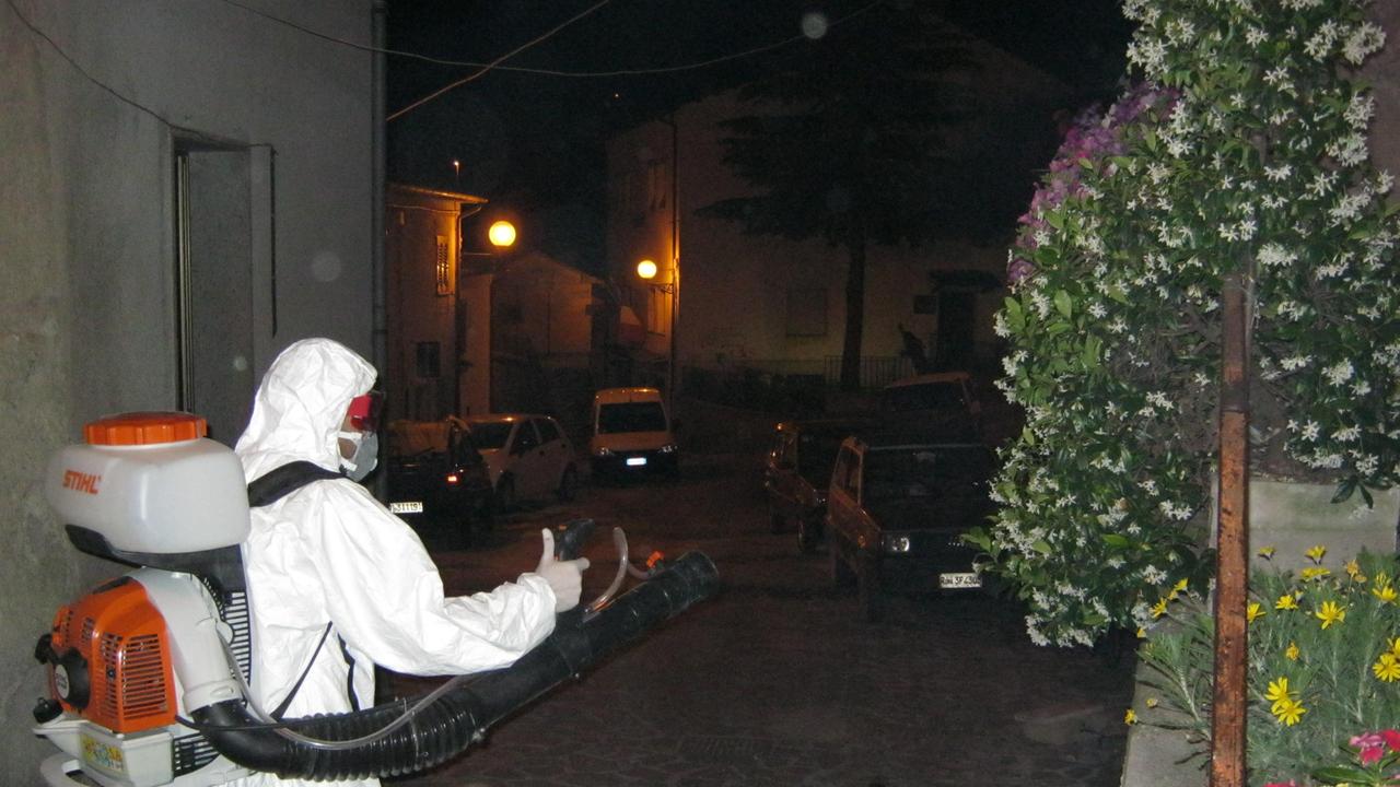 Zanzara tigre, la previsione della Regione: «La peggiore estate degli ultimi 10 anni»