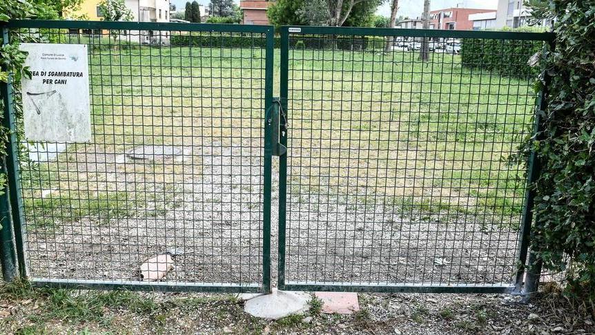 Sistemato il cancello dello sgambatoio nel parco di S.Anna