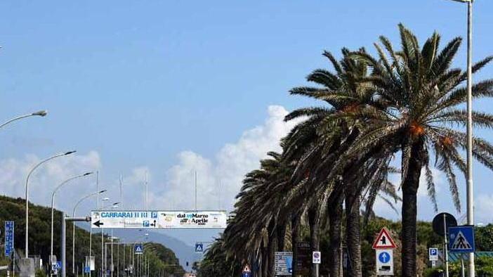 Sul lungomare di Marina di Carrara stop ai camion fino a settembre