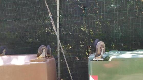 Pd all’attacco di Asmiu «Troppi rifiuti in strada