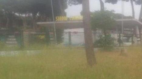 Erba troppo alta intorno allo stadio dei Pini