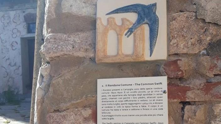 Rondoni, si festeggia la giornata mondiale