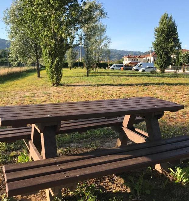 Lavori stradali e nuovi alberi nei parchi pubblici 