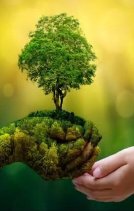 I ragazzi riflettono su «Laudato si’» 