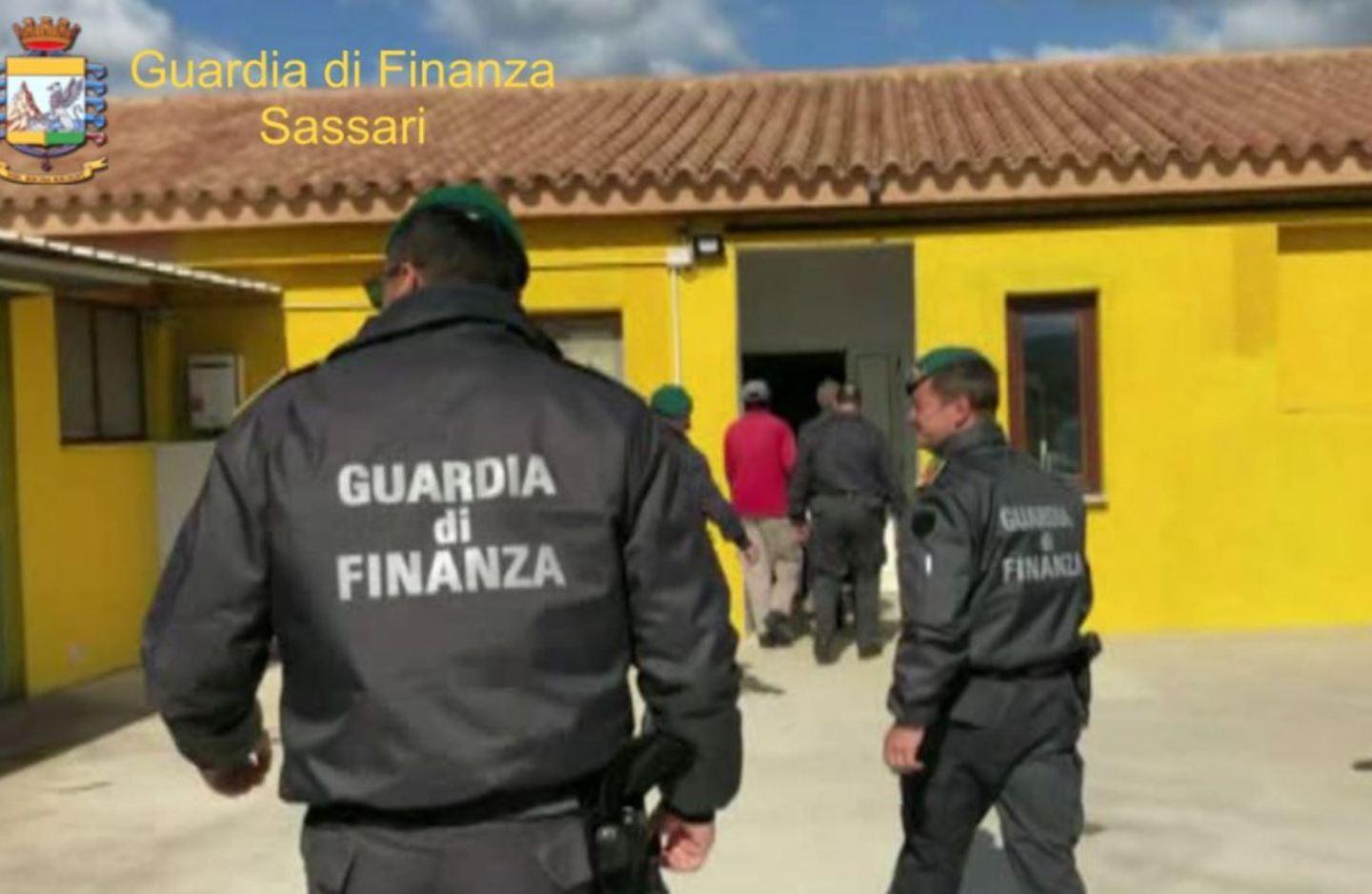 Olbia, denutriti e maltrattati: così si lucrava sui cani 