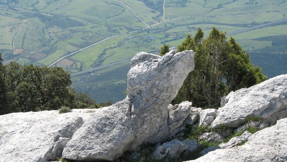 Viabilità rurale e ambiente valorizzati con “Lavoras” 