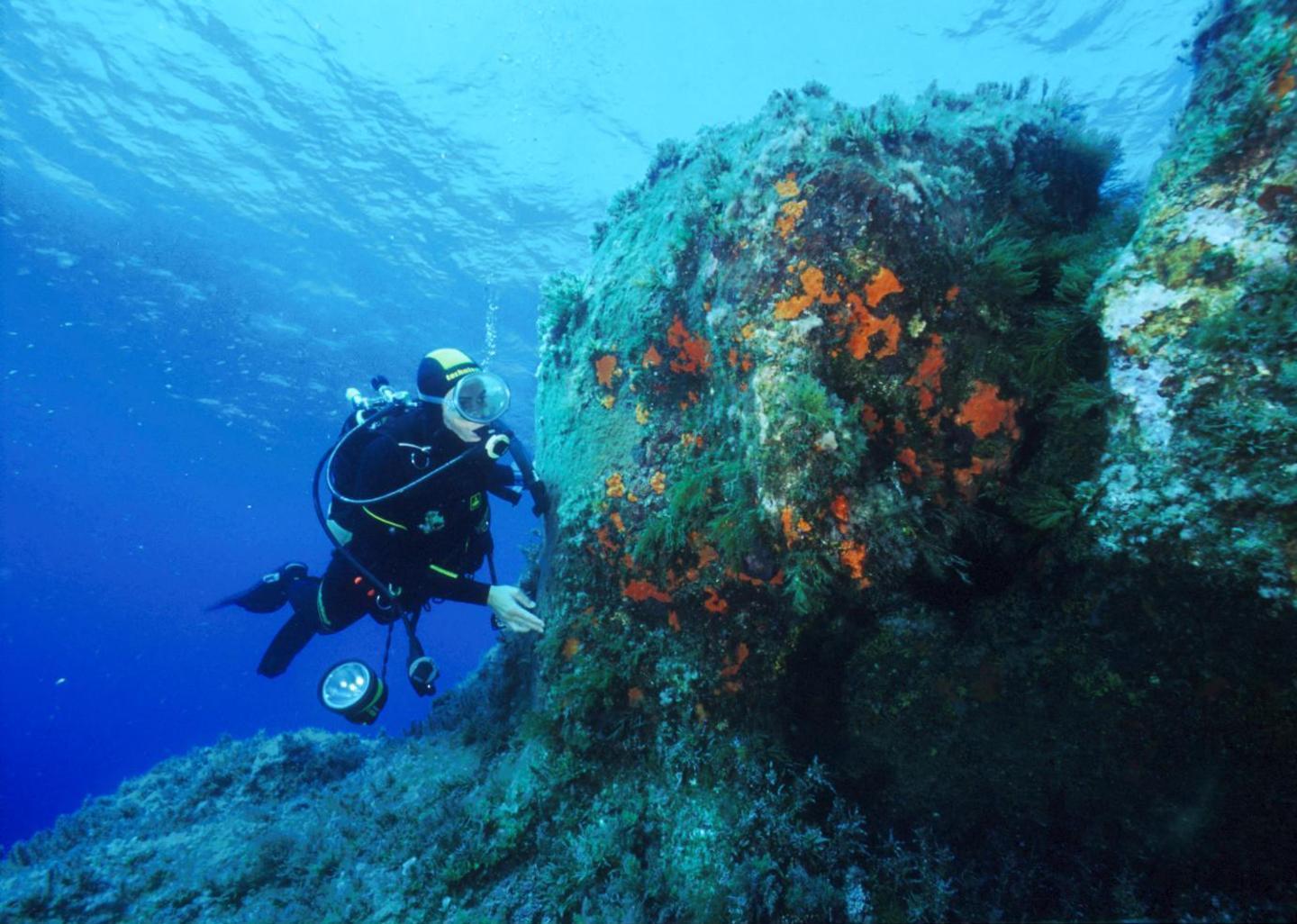 Task force di sub per ripulire i fondali 