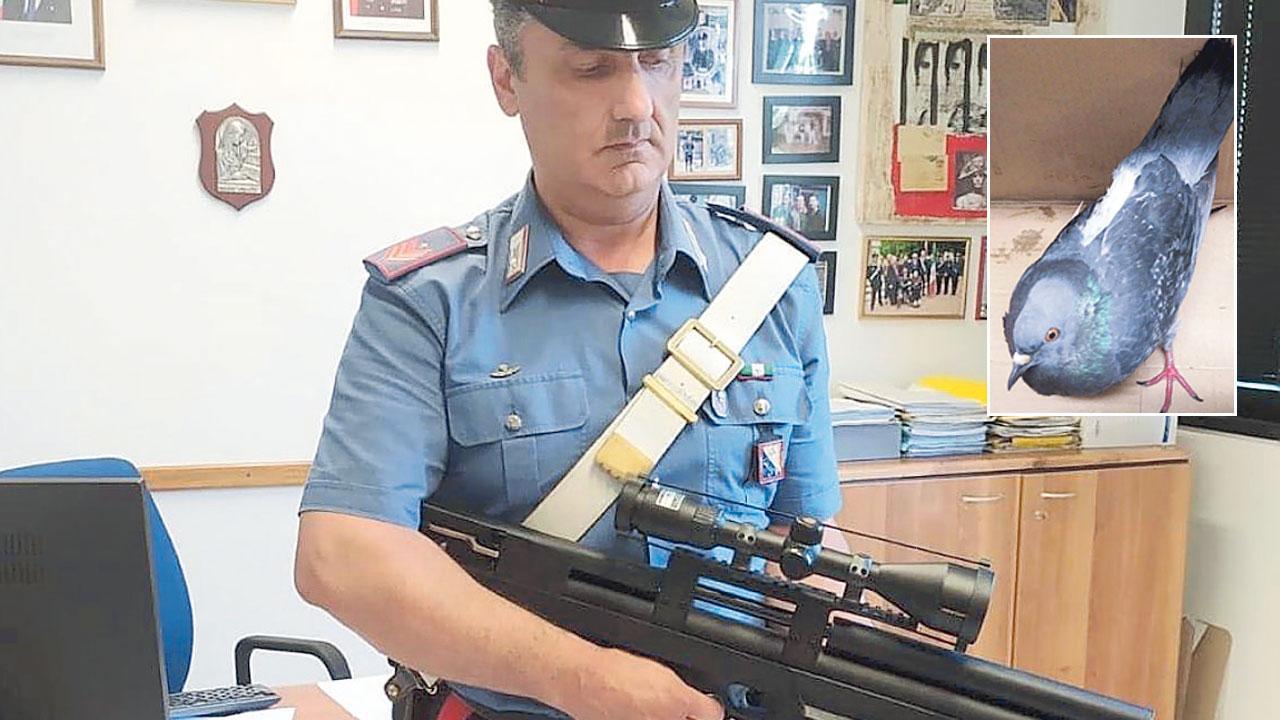 Spara ai piccioni con un fucile softair dalla sua auto in pieno centro 