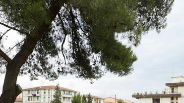 La violenta lite finisce dentro il torrente Orme