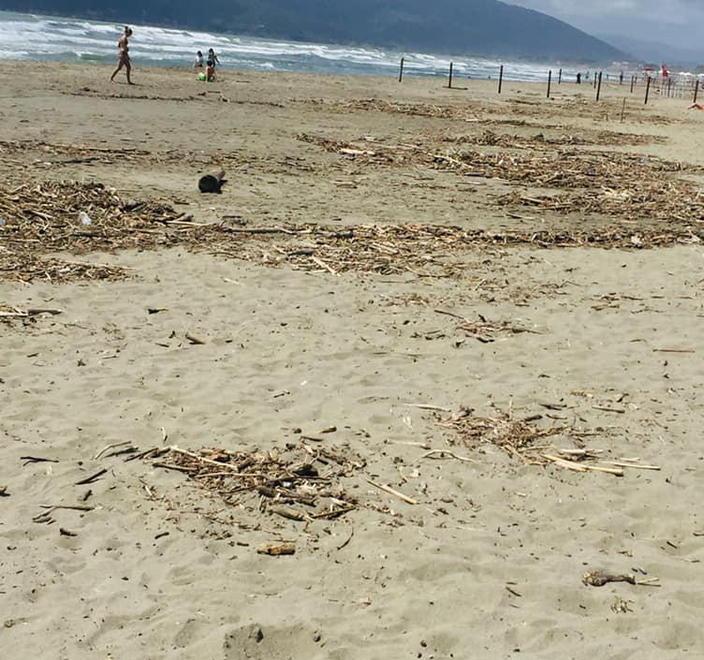 «Marina di Carrara in degrado e senza eventi per l’estate» 