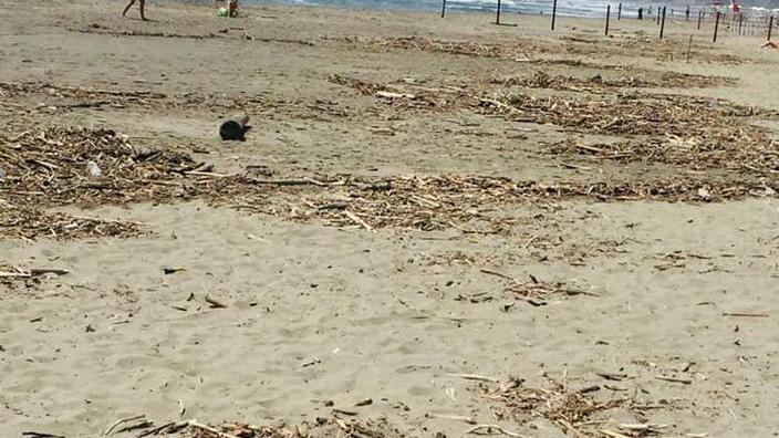«Marina di Carrara in degrado e senza eventi per l’estate»