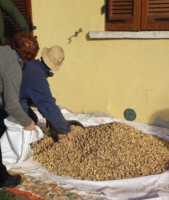 Premiata la farina della Mulattiera