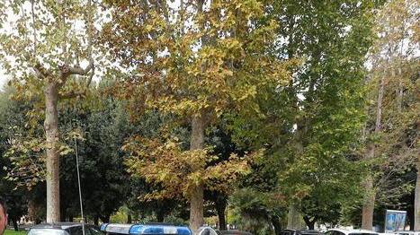 Compra sigarette e pizza con soldi falsi