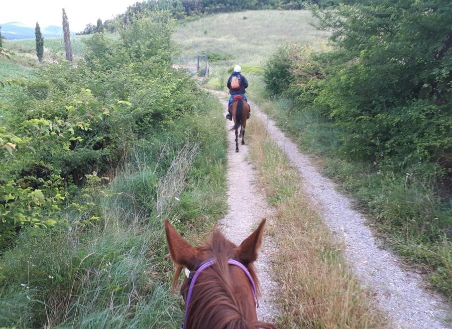 È una Val d’Orcia mai vista prima È quella Grossetana a dorso di cavallo 
