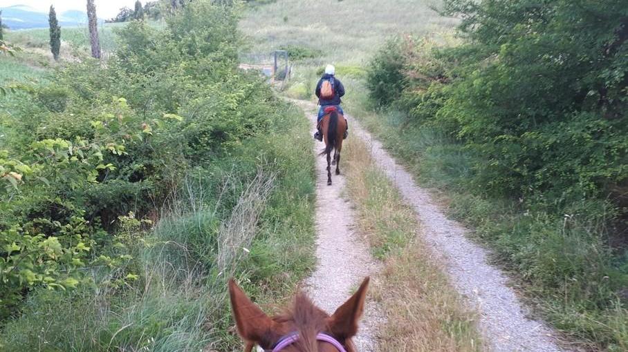 È una Val d’Orcia mai vista prima È quella Grossetana a dorso di cavallo
