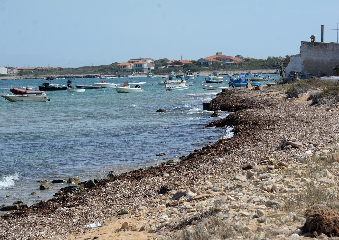 San Vero, campo boe di fronte a Su Pallosu: i giudici lo bocciano