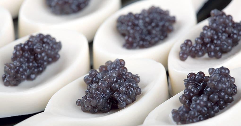 “Caviar boutique” apre a Montecatini e assume 