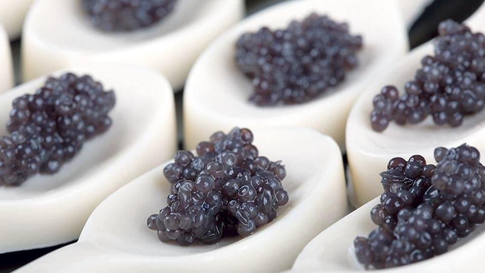 “Caviar boutique” apre a Montecatini e assume