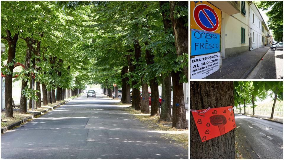 Associazioni, partiti, movimenti ma non solo. In difesa degli alberi ci sono anche tanti semplici cittadini. Il gruppo Facebook ha già superato i 1.600 iscritti e sulle piante ci sono pure i disegni dei bimbi