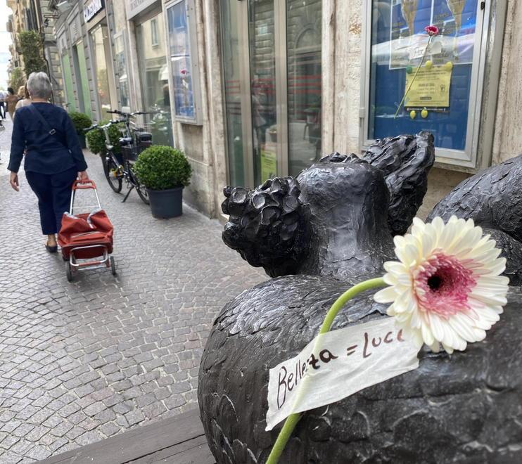 La città si sveglia fiorita con il “flower flash”: mille gerbere colorate per inaugurare Coconoir