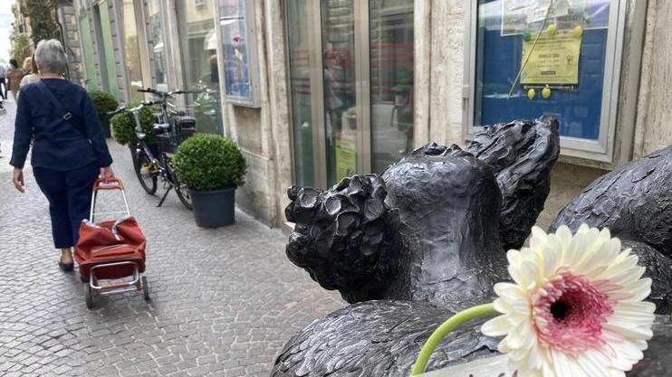 La città si sveglia fiorita con il “flower flash”: mille gerbere colorate per inaugurare Coconoir