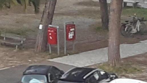 Prigionieri delle bancarelle del mercato Le difficili domeniche di via Genova