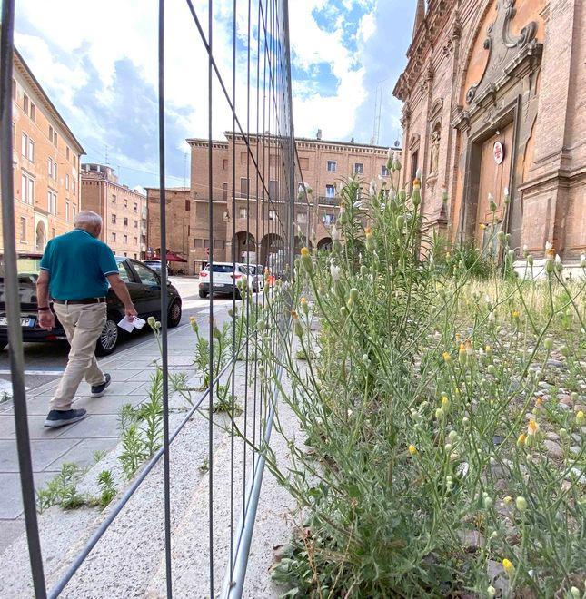 Ferraresi: «Erba e topi attorno alla chiesa»