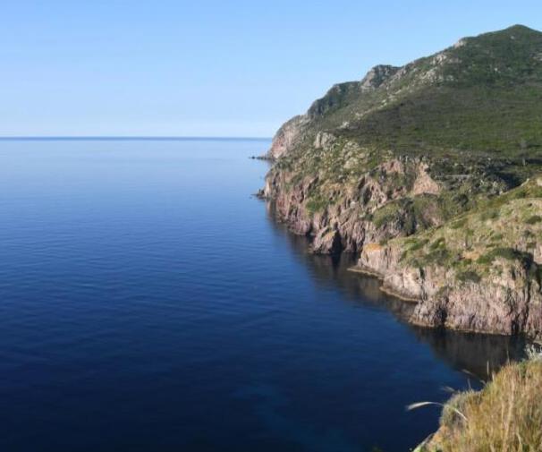 Riecco la foca monaca nel mare di Capraia L’esemplare ripreso vicino a Cala di Ceppo