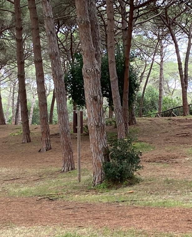 Un progetto condiviso per la tutela delle spiagge 