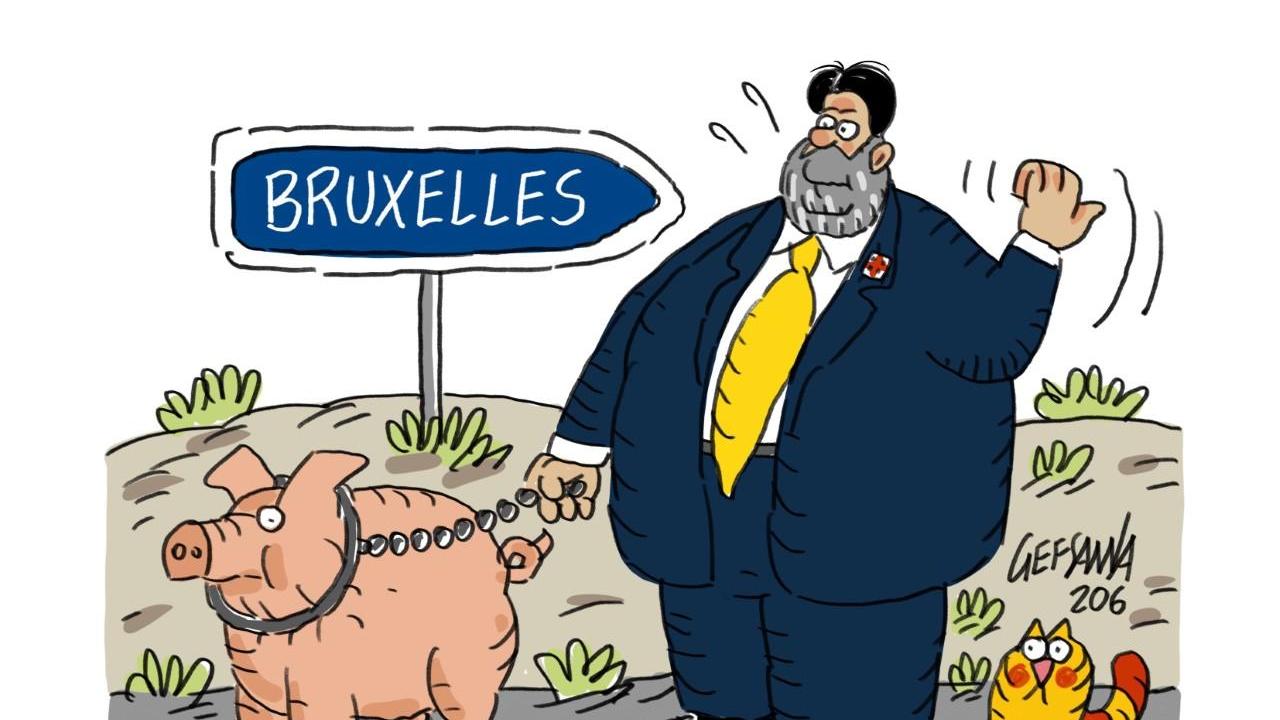La vignetta di Gef: basta all'embargo sulle carni suine
