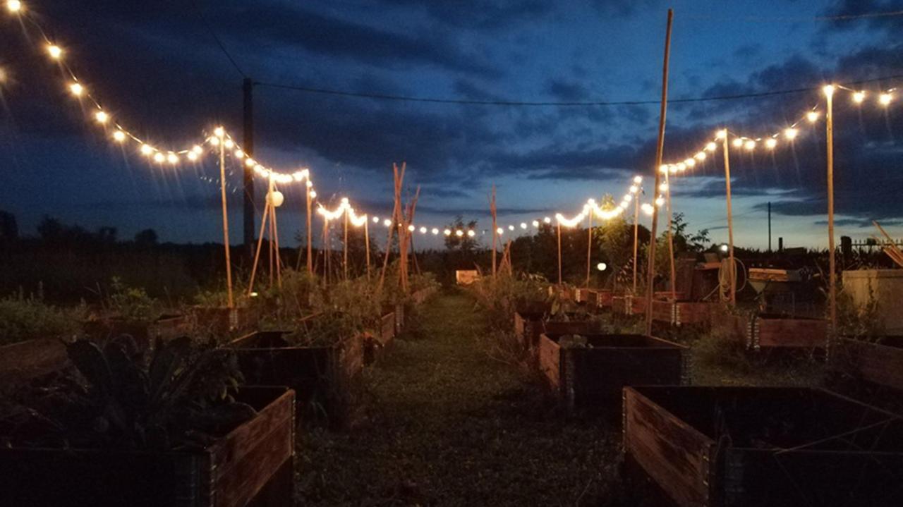 Ravarino. Metti una cena nell’orto Lo chef Rino Duca “crea” Gandò il ristorante tra le verdure