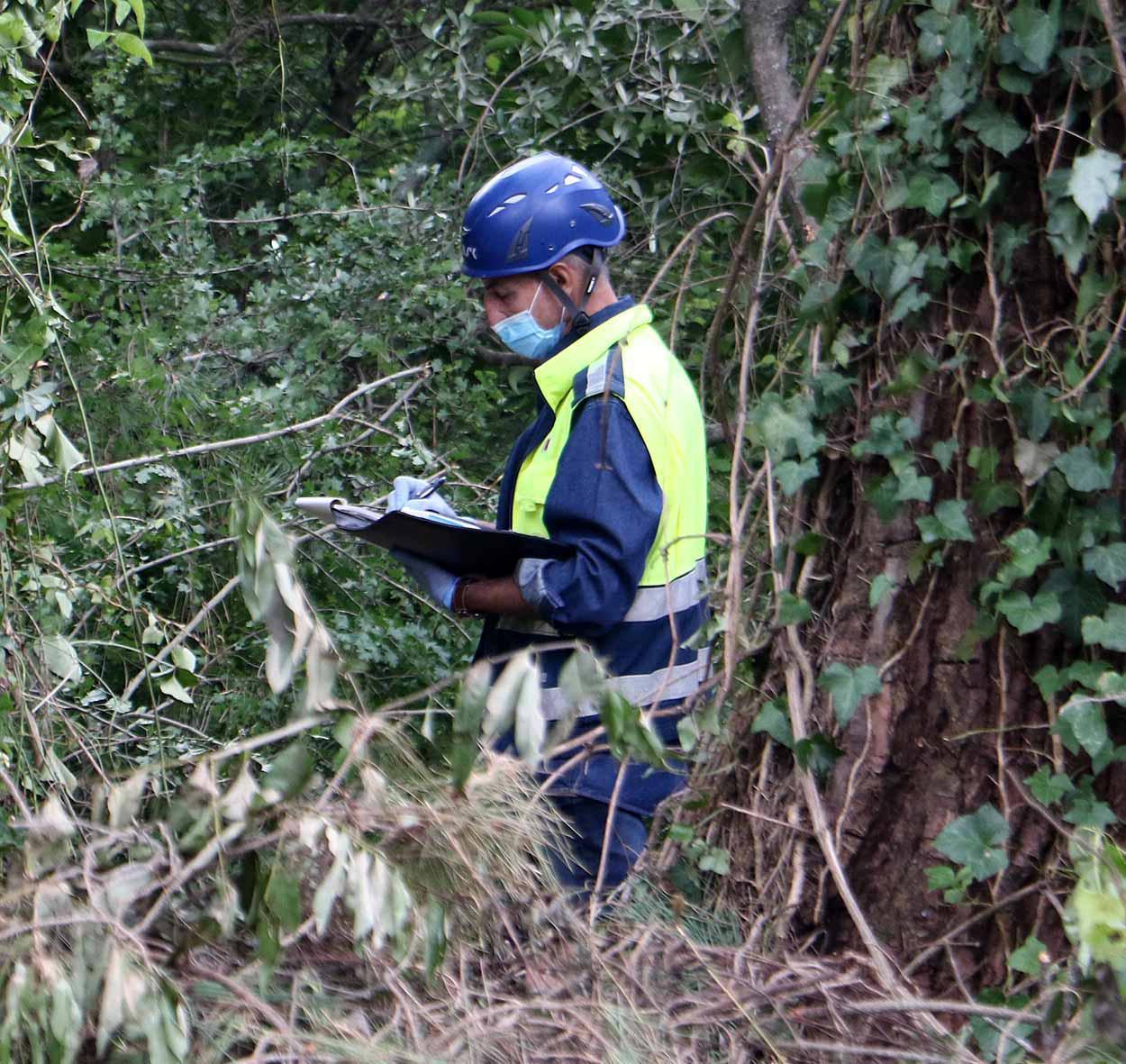 Cade mentre pota un albero, grave un giardiniere di 35 anni