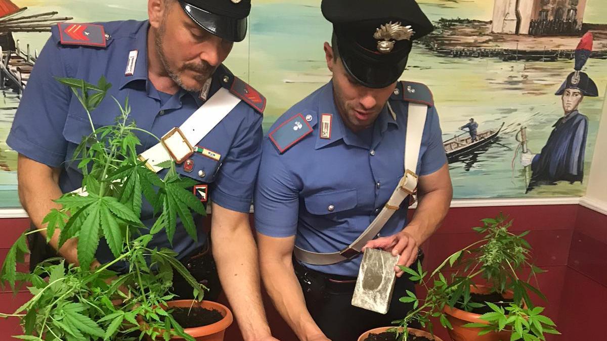 Aveva in casa droga e l'occorrente per una serra: arrestato a Comacchio