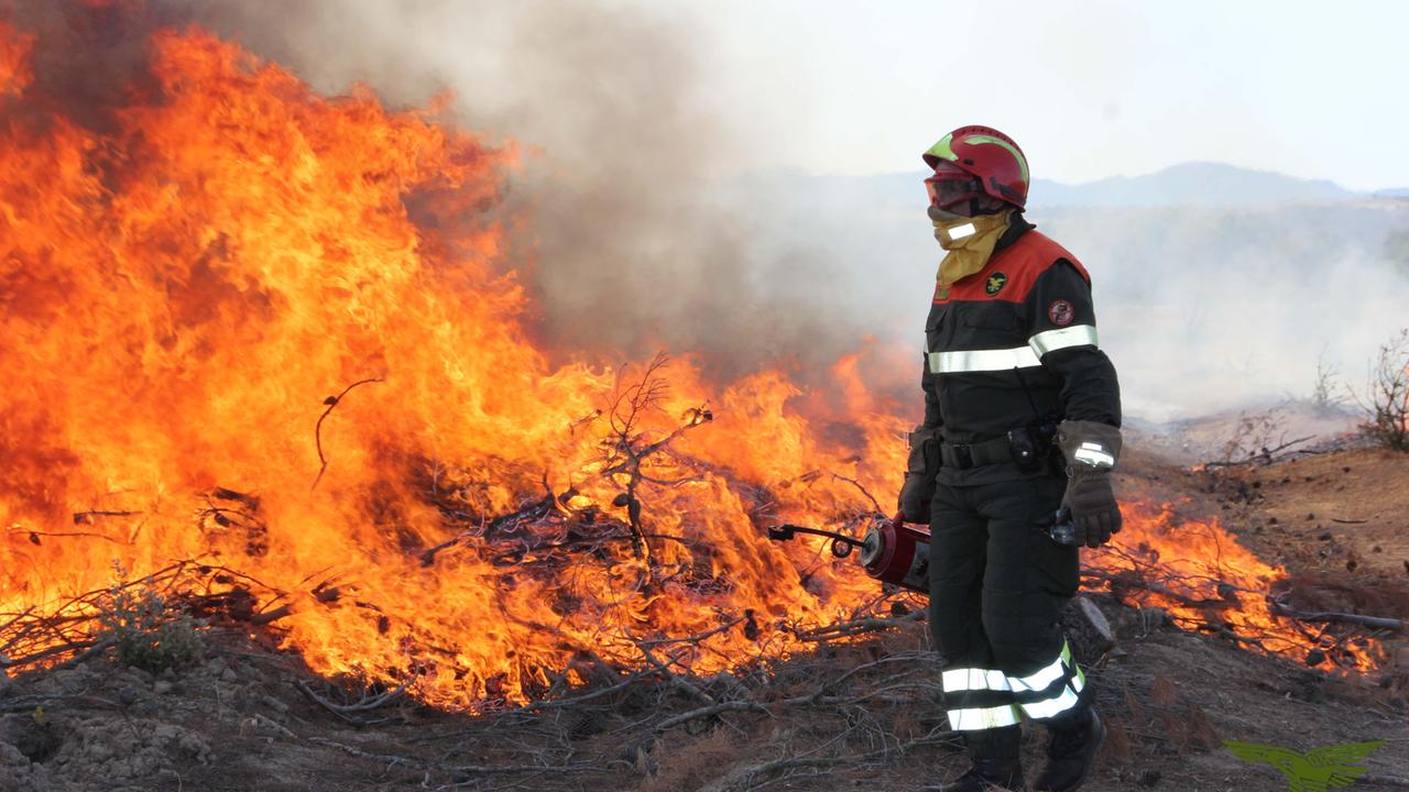 17 incendi in Sardegna, a Tramatza le fiamme minacciano un'azienda agricola
