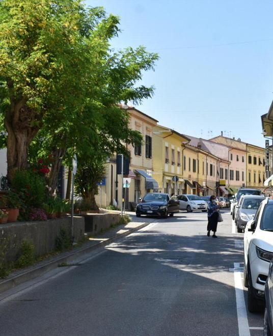 «Adotta un’aiuola o giardino» al via l’operazione antidegrado 