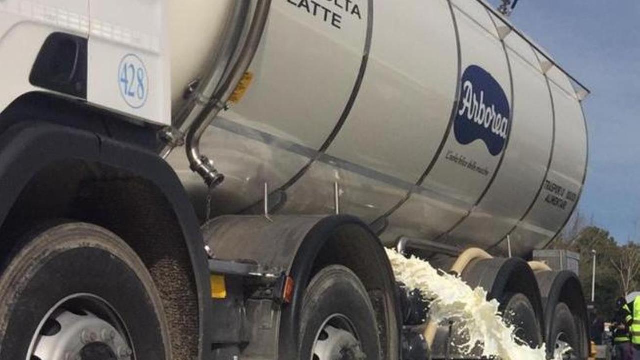 Guerra del latte, processo rinviato per otto pastori