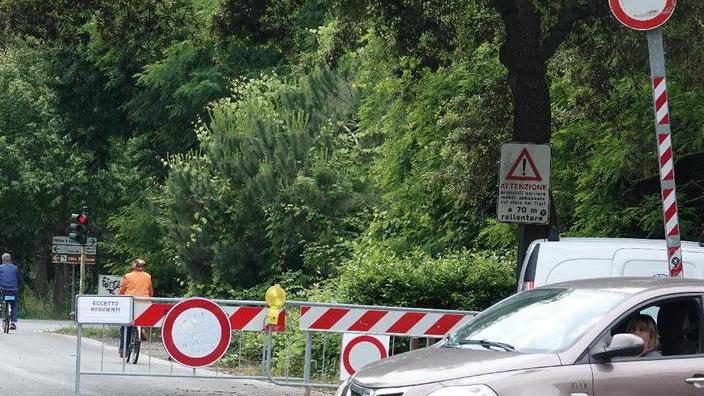 «La cosiddetta Viareggio green deve essere bella per tutti»