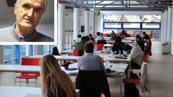 «Il Comune ha dato un calcio ai giovani bibliotecari precari»