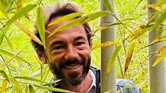 Bambù da scoprire Il “petrolio verde” per energia e case