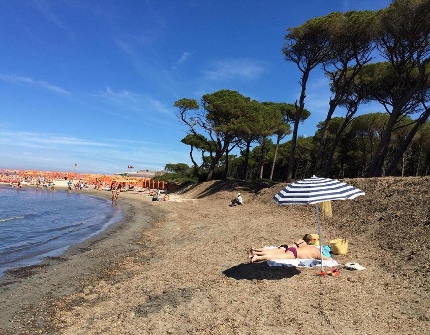 Vada, gli stabilimenti ora chiedono più spazio: «Disposti a gestire zone di spiaggia libera» 